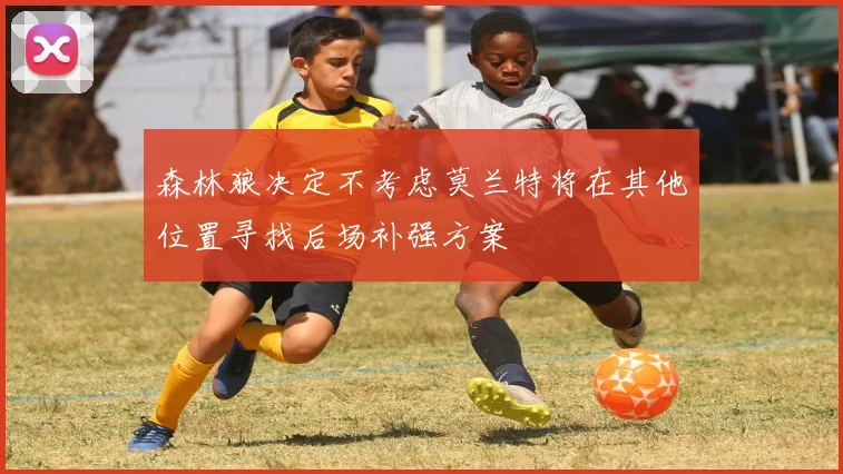 森林狼决定不考虑莫兰特将在其他位置寻找后场补强方案